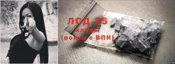 крисы Алзамай