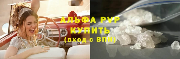 гашик Алексин