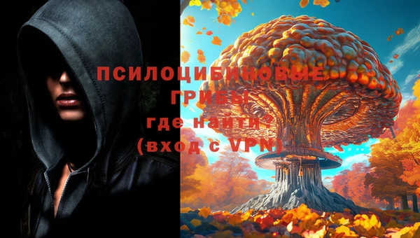 гашик Алексин