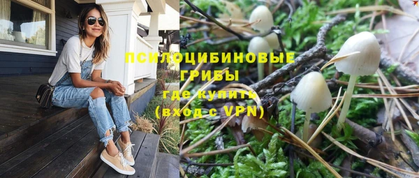 амфетамин Алексеевка