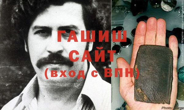 гашик Алексин