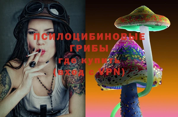 гашик Алексин