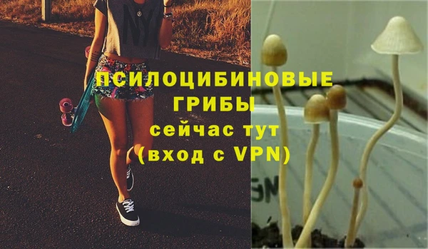 амфетамин Алексеевка