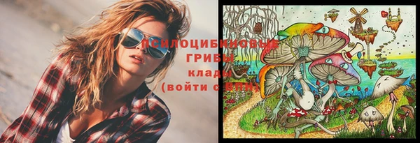 гашик Алексин
