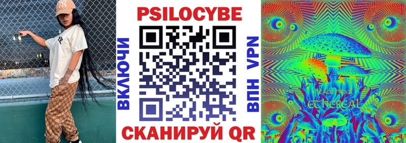 Галлюциногенные грибы Psilocybine cubensis  Чернушка 