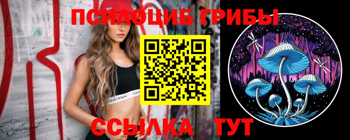 Псилоцибиновые грибы ЛСД Чернушка