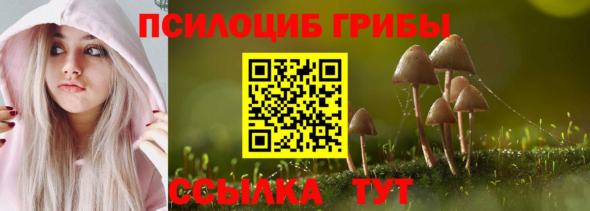 Чернушка  Псилоцибиновые грибы Magic Shrooms  Вход с VPN 